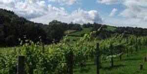 Image result for A J Activities, Herefordshire