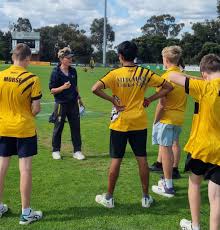 Image result for Mitcham Cricket Club