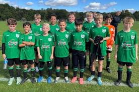 Image result for Welwyn Garden City Panshanger Football Club