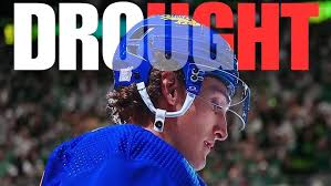 Image result for Stockport Sabres