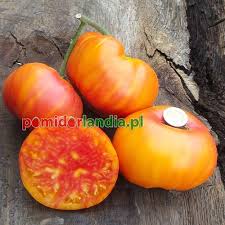 Afbeeldingsresultaat voor mortgage lifter bicolor strain tomato