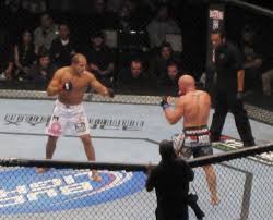Image result for Full Element Mixed Martial Arts