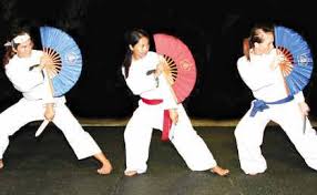 Image result for Silat Perisai Diri Classes Club