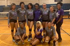 Image result for Chesterfield Cobras Volleyball Club