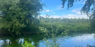 Image result for Stour Valley Canoe Club