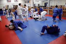 Image result for Redcar Judo Club, Cleveland