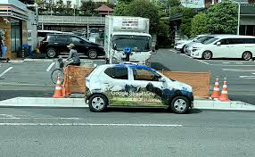 Image result for ストリートビューカー