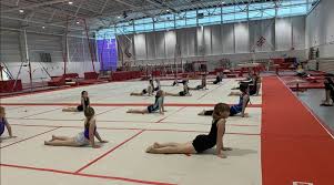 Image result for City Of Newcastle Gymnastics Academy