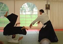 Image result for Kokyu Aikido Association