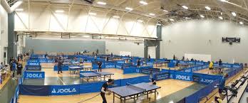 Image result for Dml Woolwell Table Tennis Club