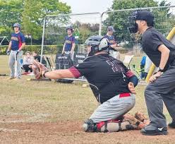 Image result for PLYMOUTH MARINERS BASEBALL CLUB