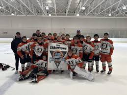 Image result for Haringey Junior Ice Hockey Club