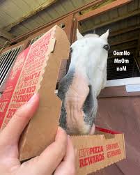 Resultado de imagen para sliced horse