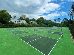 Image result for Dorset Pickleball Club