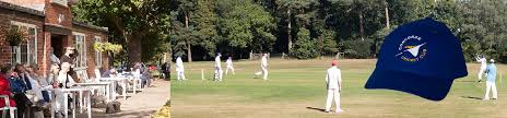 Image result for Old Woking Cricket Club