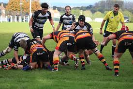 Image result for Chard Rugby Football Club