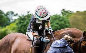 Image result for Kirtlington Park Polo Club