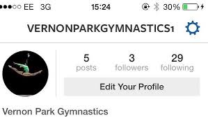 Image result for Vernon Park Gymnastics