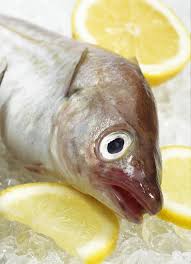 Image result for Merlangius merlangus