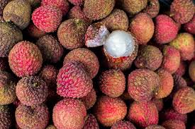 Image result for Litchi chinensis