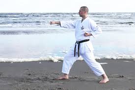 Image result for Junsui Shotokan Karate Do