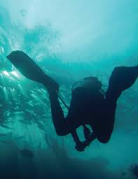 Image result for Tornado Divers