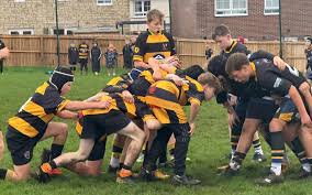 Image result for Yatton R F C