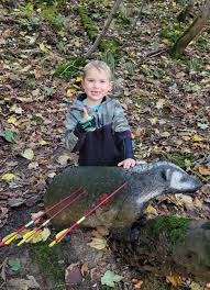 Image result for Row Brow Field Archery