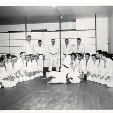 Image result for Harold Hill Aikido Club