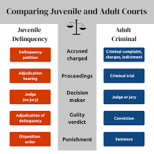 Attēlu rezultāti vaicājumam “juvenile”