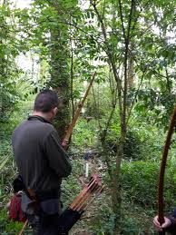 Image result for Ashcombe Valley Archers