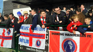 Image result for Dorking Wanderers F C