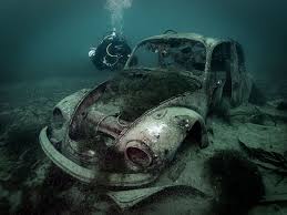 Image result for Robin Hood Dive School