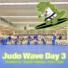 Image result for Halewood Inclusive Judo Club