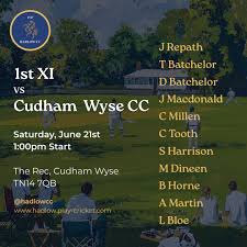 Image result for Hadlow Cricket Club