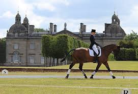 Image result for Jp-Sheffield Eventing