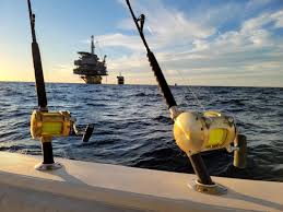 Image result for ALBION SEA FISHING CLUB