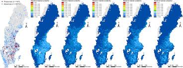 Attēlu rezultāti vaicājumam “Campylophyllum sommerfeltii”