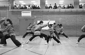 Image result for Shaolin Nam Pai Chuan Kung Fu - Manchester Martial Arts Centre