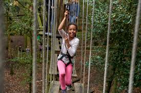 Image result for Go Ape! Dalby