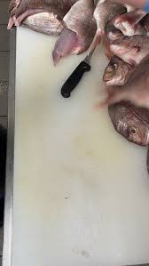 Image result for Platycephalus richardsoni