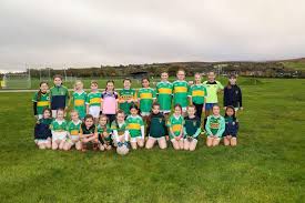 Image result for John Mitchel`s Gaelic Athletic & Social Club
