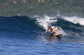 Image result for Lincolnshire Surf Club