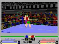 Image result for 4D Sports Boxing