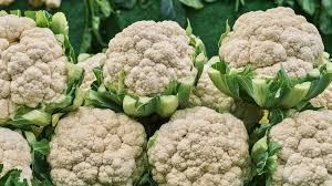 Image result for Blumenkohl