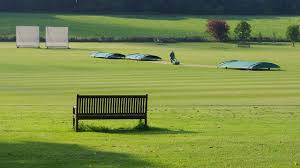 Image result for Sibton Park Cricket Club