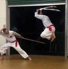 Image result for Silat Pd (Perisai Diri) UK