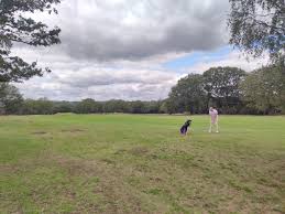 Image result for Royal Wimbledon Golf Club