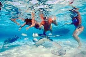Image result for Kingston & Elmbridge Junior Snorkelling Club