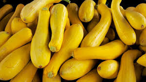 Attēlu rezultāti vaicājumam “Cucurbita pepo”